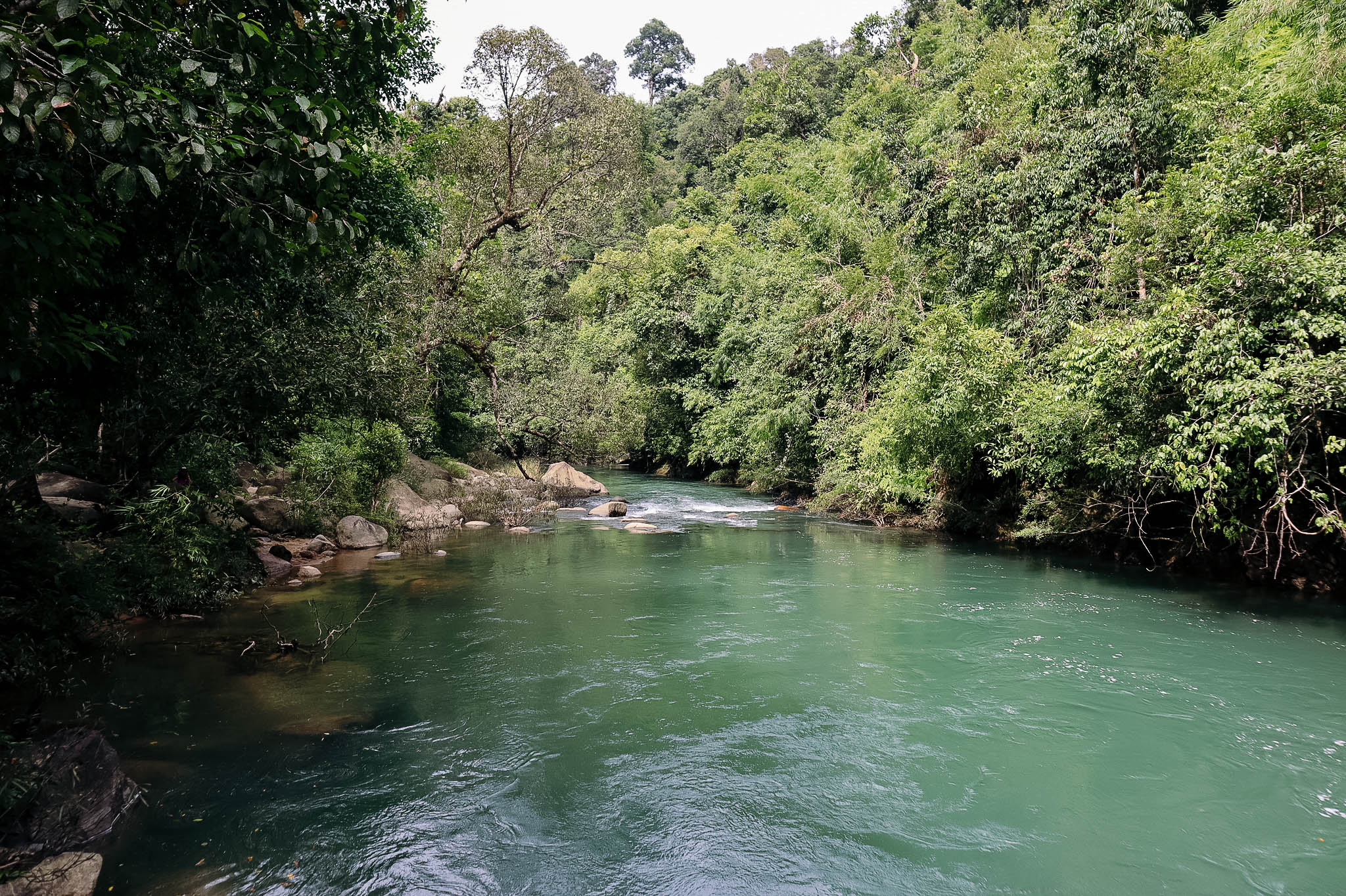 Spectacular Creatures